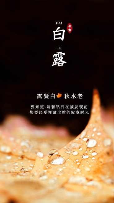 白露节气全屏祝福励志语录预览效果