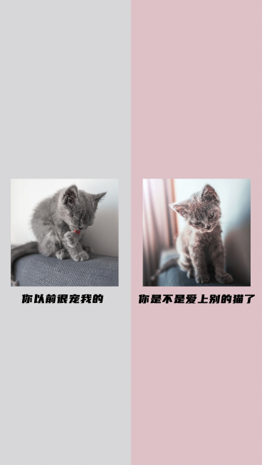 猫咪微信情侣分区聊天背景预览效果