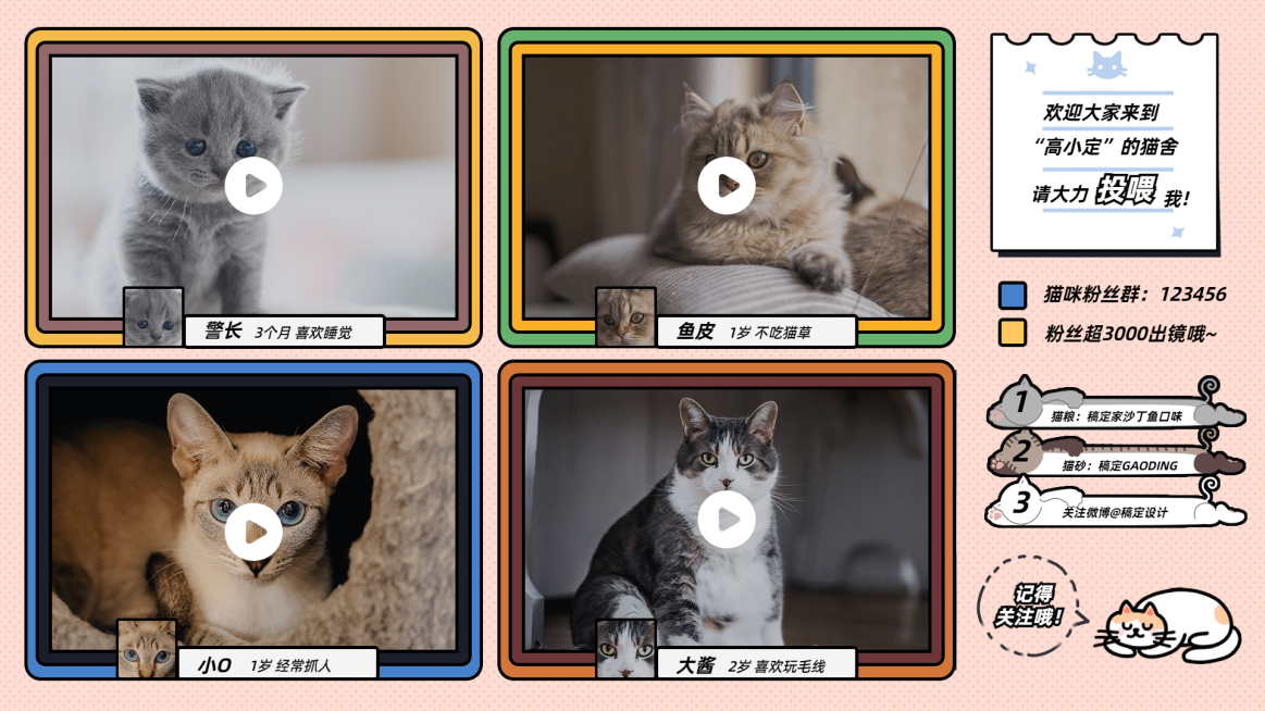 可爱萌宠猫咪博主直播间背景边框预览效果