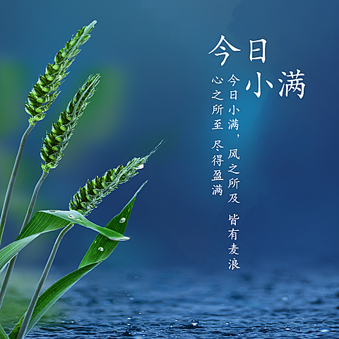 小满节气祝福问候夏季实景方形海报