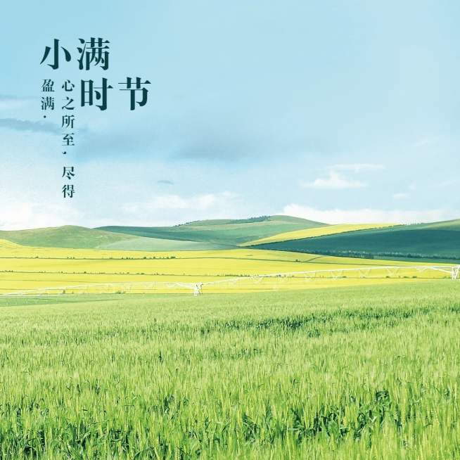 小满节气祝福问候夏季实景方形海报预览效果