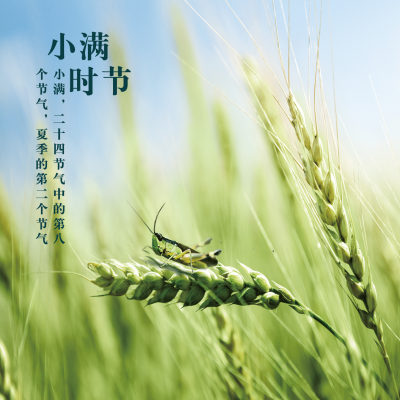 小满节气祝福问候夏季实景方形海报