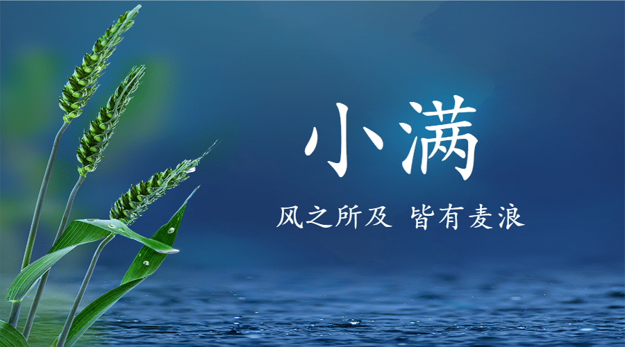 小满节气祝福手绘古风横版海报预览效果
