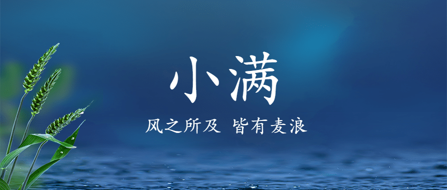 小满节气祝福手绘古风公众号首图预览效果