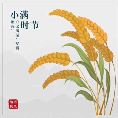 小满节气祝福麦穗农耕手绘方形海报