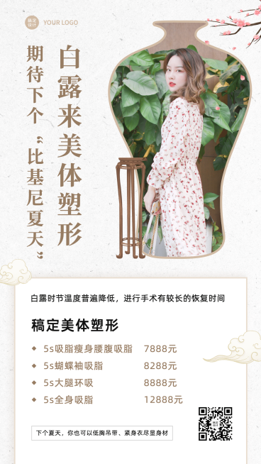 简约古风花瓶白露节气营销活动促销预览效果