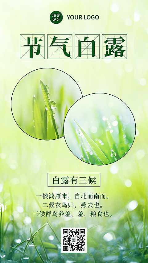 9.7白露清新节气借势知识科普