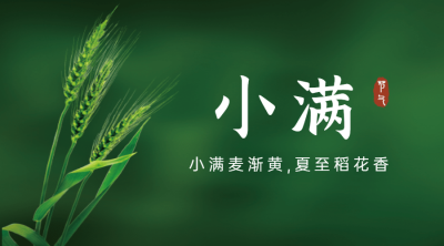 小满节气祝福问候实景横版海报