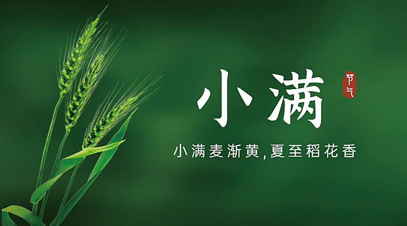 小满节气祝福问候实景横版海报