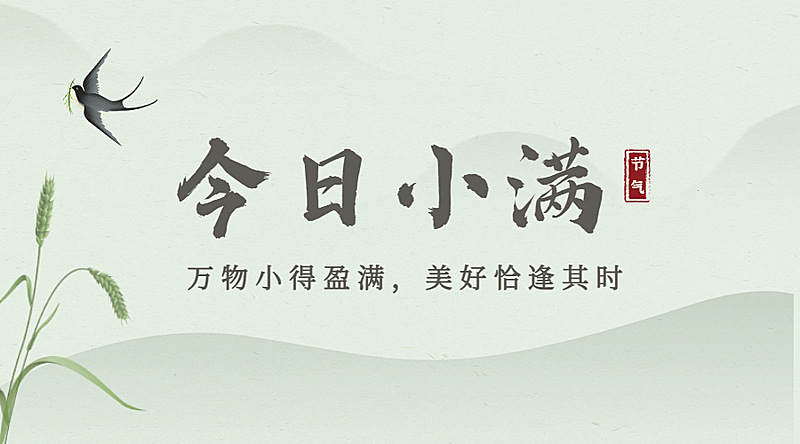 小满节气祝福手绘横版海报