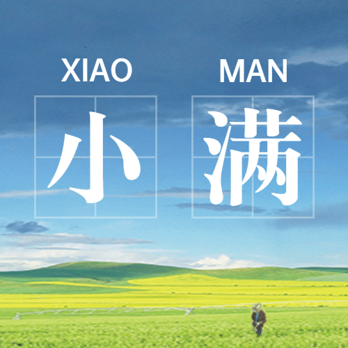 小满节气祝福问候手绘公众号次图预览效果