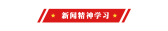 模板缩略图