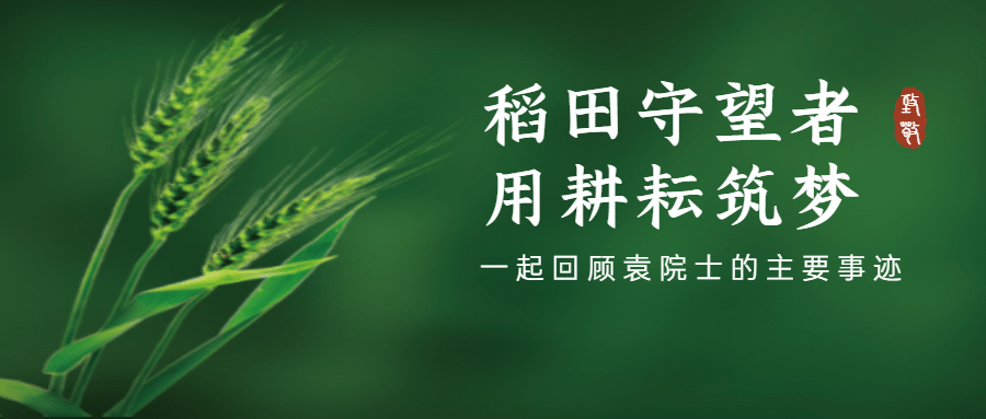 回忆耕耘问候实景公众号首图预览效果