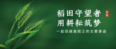 回忆耕耘问候实景公众号首图