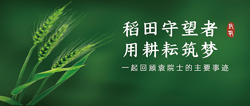 回忆耕耘问候实景公众号首图