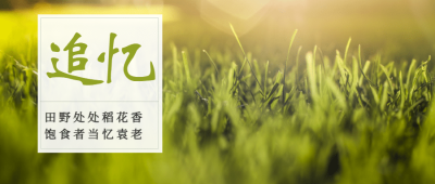 小满二十四节气公众号首图