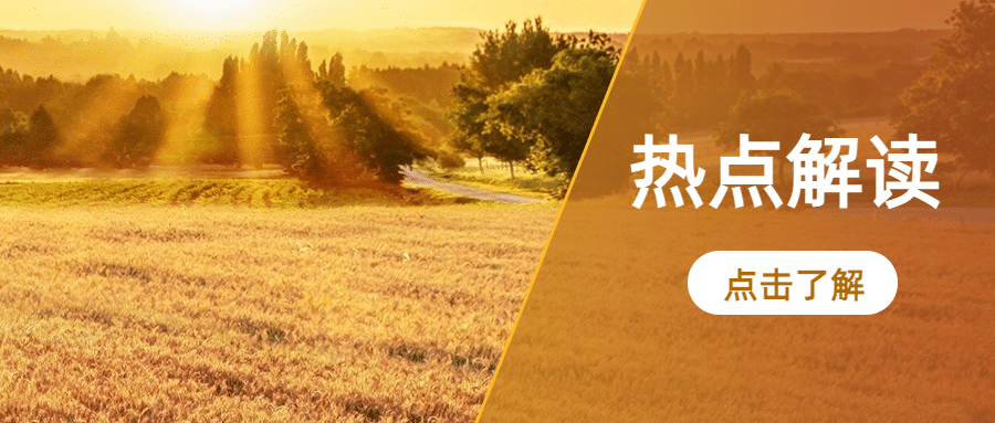 最新消息热点资讯新闻公众号首图预览效果