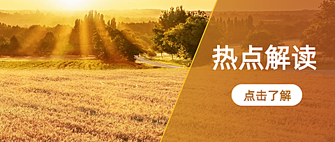 最新消息热点资讯新闻公众号首图