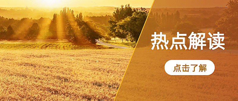最新消息热点资讯新闻公众号首图