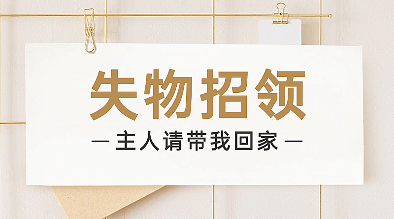失物招领爱心公益宣传横版海报