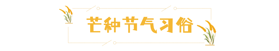 芒种节气动态文章标题稻草预览效果