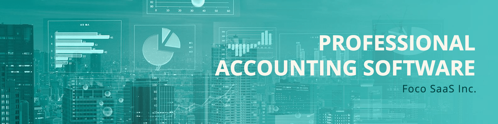Software service LinkedIn banner
