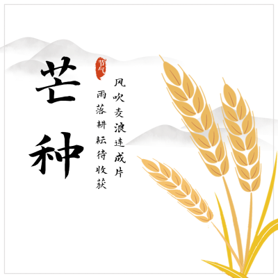 芒种节气祝福农耕丰收方形海报