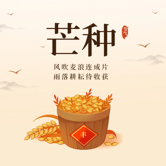芒种节气祝福农耕丰收方形海报预览效果
