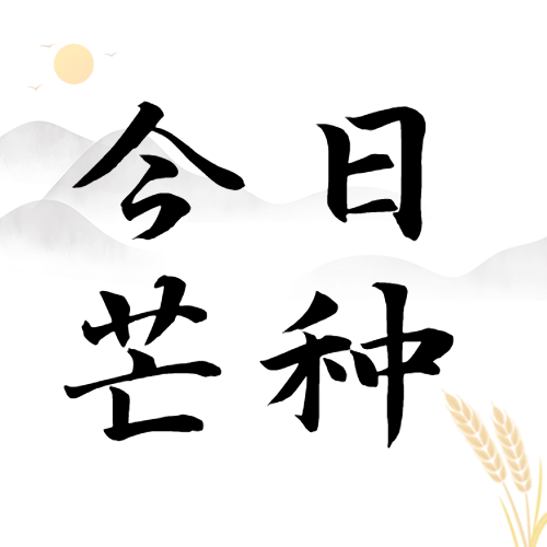 芒种节气祝福农耕丰收公众号次图预览效果