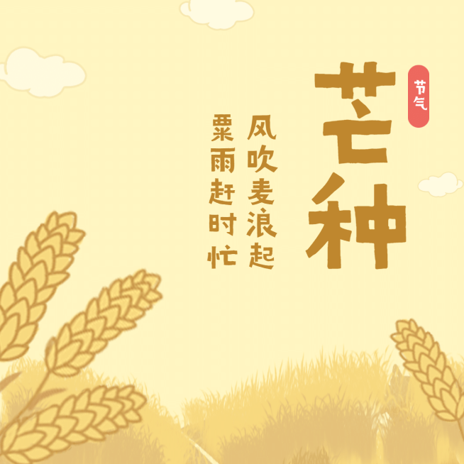 芒种节气祝福丰收农耕方形海报预览效果