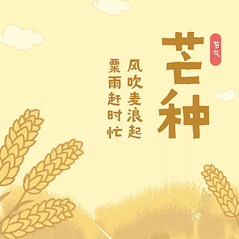 芒种节气祝福丰收农耕方形海报