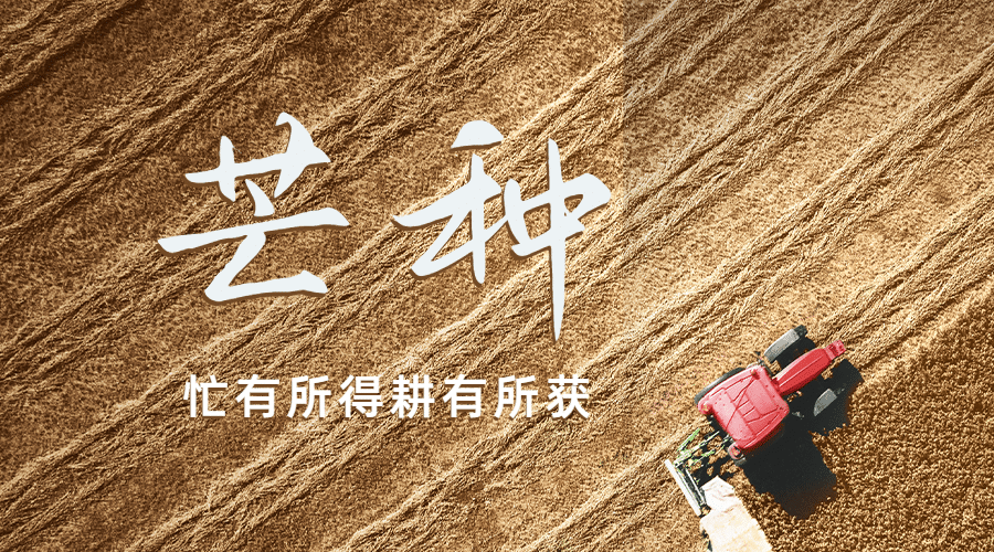 芒种节气祝福问候丰收横版海报预览效果