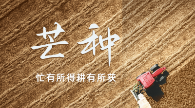 芒种节气祝福问候丰收横版海报