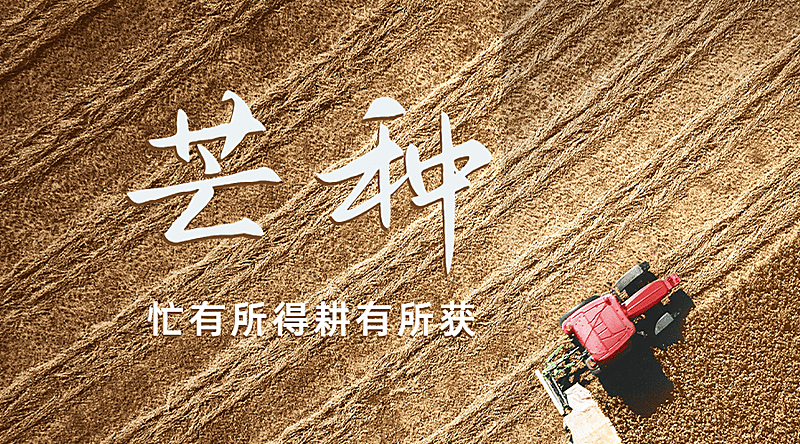 芒种节气祝福问候丰收横版海报