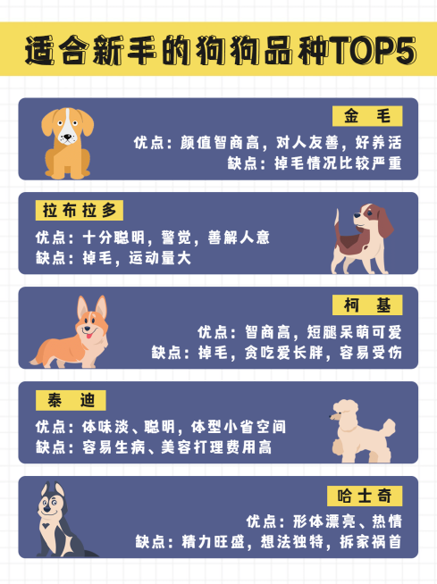 萌宠知识科普可爱小红书封面配图预览效果