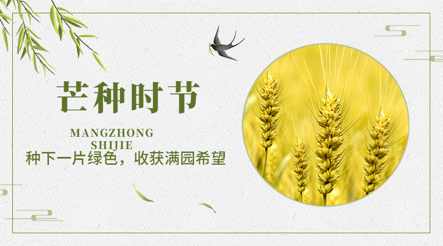 芒种节气祝福问候图框横版海报预览效果