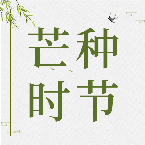 芒种节气祝福问候丰收公众号次图预览效果
