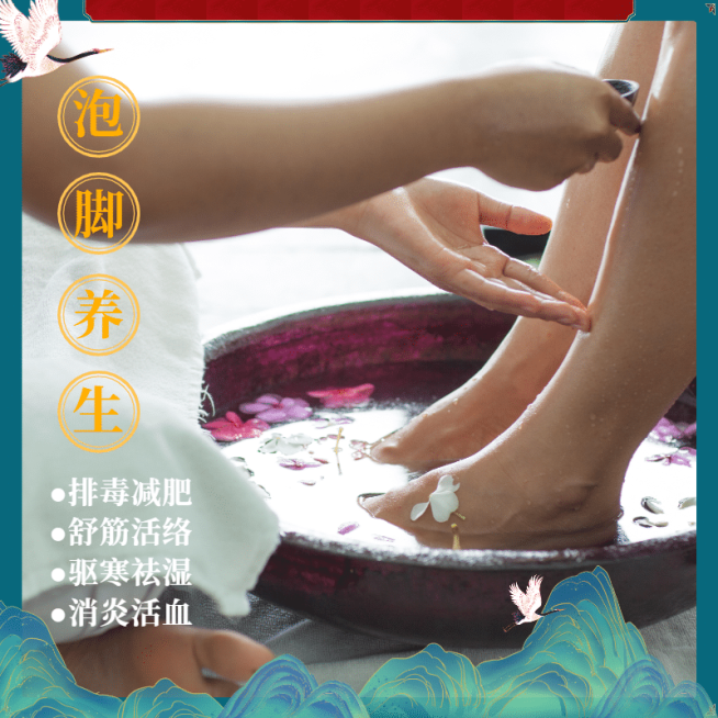 古风保健养生产品展示预览效果