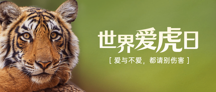 世界爱虎日保护动物宣传实景公众号首图