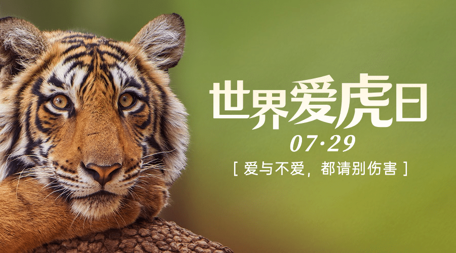 世界爱虎日保护动物宣传实景横版海报