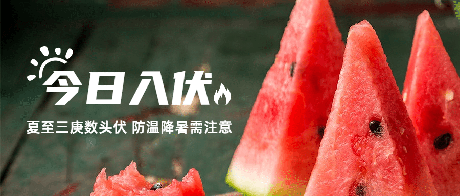 初伏入伏三伏天夏季实景公众号首图预览效果