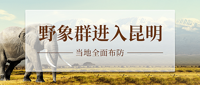 最新资讯新闻消息融媒体公众号首图