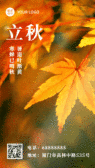 模板缩略图