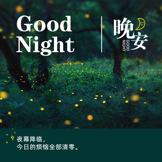 晚安心语唯美方形海报预览效果