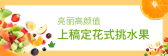模板缩略图