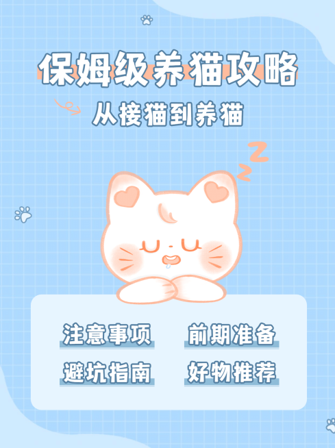 宠物可爱简约清新小红书封面配图预览效果