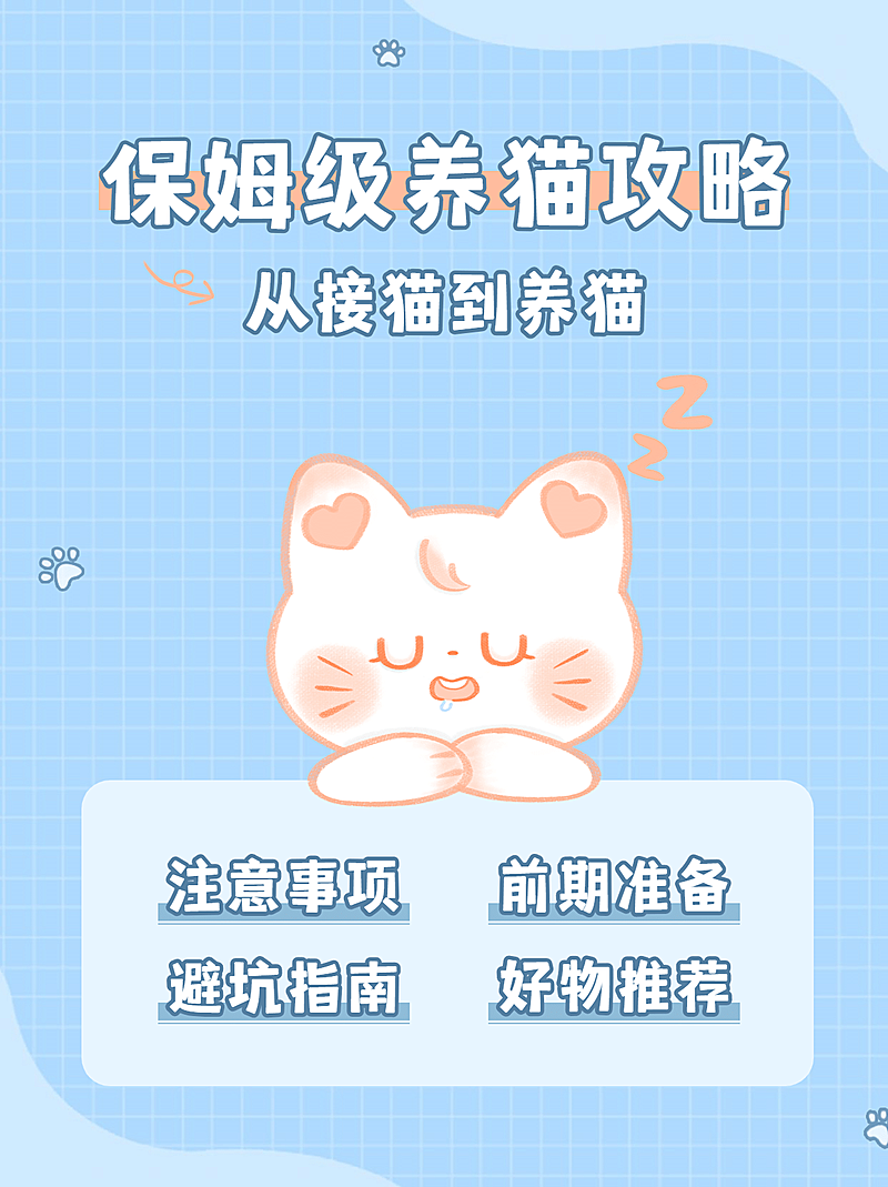 宠物可爱简约清新小红书封面配图