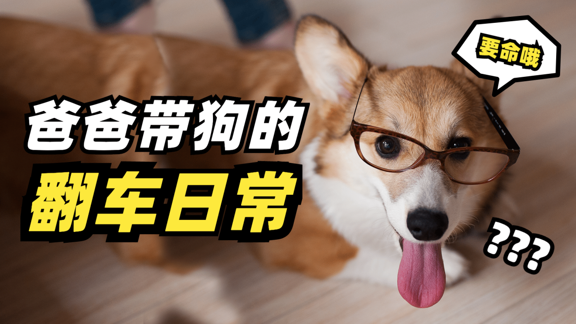 极简实景轻设计大字横版视频封面预览效果