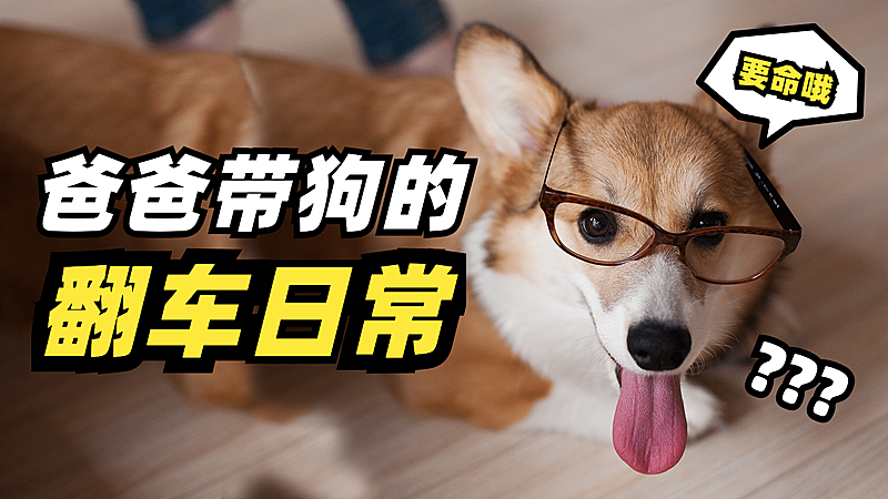 极简实景轻设计大字横版视频封面