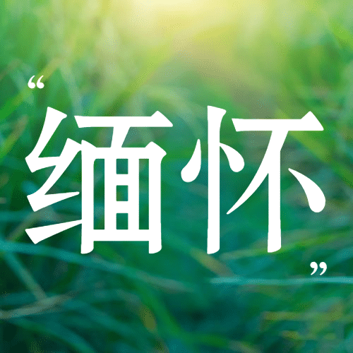 名人逝世悼念哀悼缅怀公众号次图预览效果